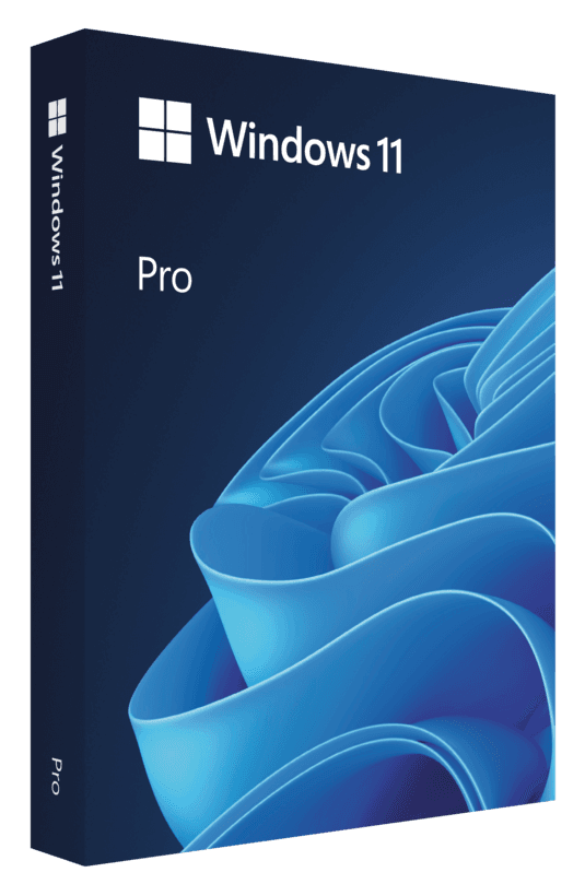 Win 11 Pro 64Bit Eng Intl 1pk DSP OEI DVD
